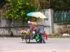 Phuket Flower Seller.JPG (130 KB)
